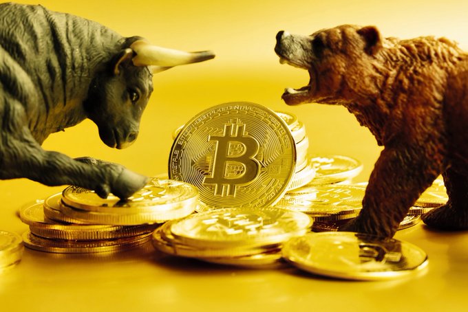 A conceptual image depicting a bull and a bear facing off on either side of a stack of gold Bitcoin coins against a solid yellow background.