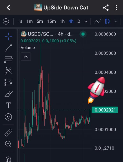 The screen displays a live stock chart of Bitcoin, with a red rocket symbol showing that its price has gone up. The post caption highlights that this is an upward trend, possibly related to the USDC cryptocurrency, indicated by the title "Usdc Upside-down cat".
