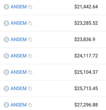 A list of transaction entries all labeled 'ANSEM' with increasing dollar amounts ranging from $21,442.64 to $27,296.88.
