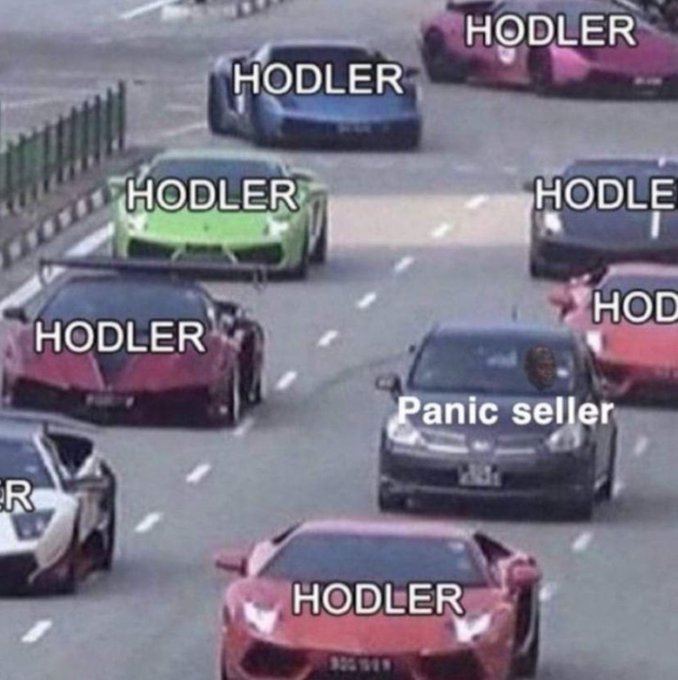 The image shows multiple sports cars labeled "HODLER" swerving to avoid a single, modest sedan labeled "Panic seller," humorously illustrating crypto investors trying to dodge someone trying to sell during a dip. The visual metaphor depicts holders staying the course while a panic seller attempts to cut through their ranks.