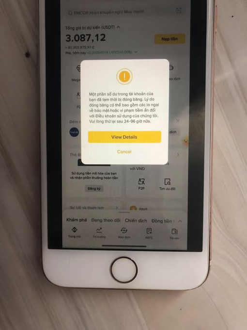 A smartphone screen displays a Binance app popup warning (in Vietnamese) that one asset has dropped to its lowest price in 6 months and is near the liquidation price, advising the user to add collateral or close the position within 24-96 hours; the underlying account shows a USDT balance of 3,087.12 (~$315.91) and PNL of 0.00004698 USDT.