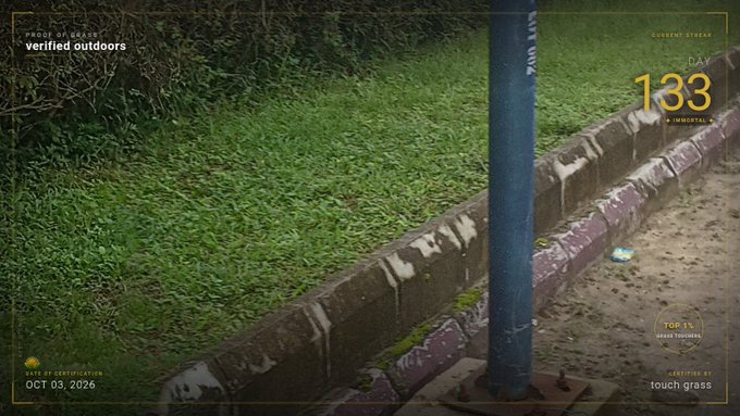 CCTV-style footage showing grass and a curb next to a blue pole, with overlaid text 'CURRENT STREAK DAY 133' and a 'GRASS TOUCHING' tracker indicating 'TOG 1%'.