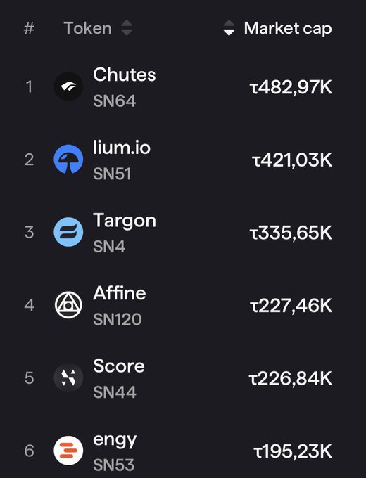 Token market cap ranking table showing six entries: Chutes (SN64) at ₺482.97K, lium.io (SN51) at ₺421.03K, Targon (SN4) at ₺335.65K, Affine (SN120) at ₺227.46K, Score (SN44) at ₺226.84K, and engy (SN53) at ₺195.23K.