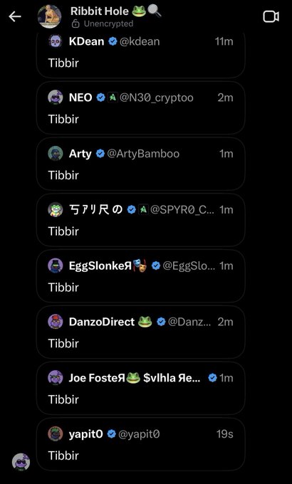A screenshot of a Twitter/X space called 'Ribbit Hole' showing multiple crypto accounts including KDean, NEO, Arty, and DanzoDirect all typing 'Tibbir' as a shared inside joke.