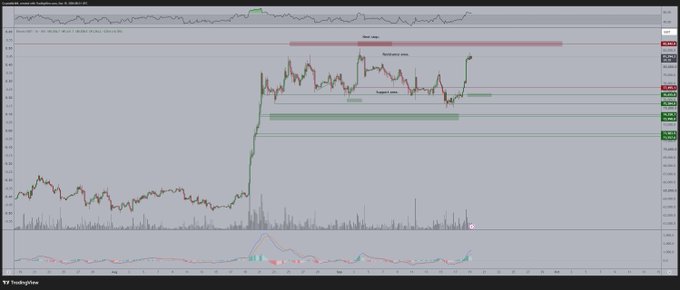 The image shows a TradingView chart displaying Bitcoin's price action against USD on the BTC/USD pair, with the price having surged back up to retest the range highs following a period of consolidation in the highlighted "Resistance area." Several horizontal price levels are marked, including "Demand area" and "Bear market bottom," along with an RSI indicator below, visually supporting the post's scenario of testing recent highs before potential consolidation and a leverage liquidity flush on altcoins.
