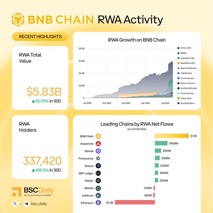 The infographic titled "BNB Chain RWA Activity" highlights key metrics including $5.83B in RWA Total Value (+25.93% in 30D) and 337,420 RWA Holders (+108.5% in 30D), alongside a chart showing "RWA Growth on BNB Chain" and a bar graph of "Leading Chains by RWA Net Flows" where BNB Chain leads at $1.1B, followed by Avalanche ($408M), Monad ($201M), Provenance ($158M), Solana ($125M), XRP Ledger ($106M), and Stellar ($104M). The image visually supports the post's claims by illustrating BNB Chain's dominant position in RWA net flows and its strong 30-day growth in both total value and holder count.