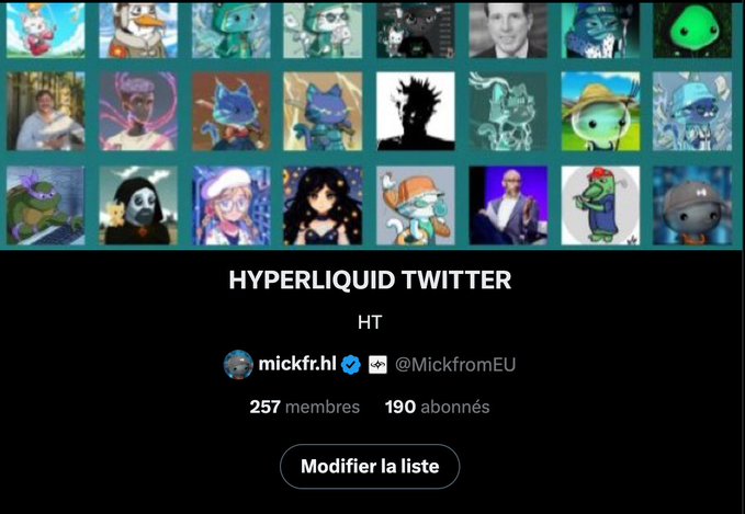 A Twitter/X list titled "HYPERLIQUID TWITTER" with 257 members and 190 subscribers, owned by @MickfromEU.
