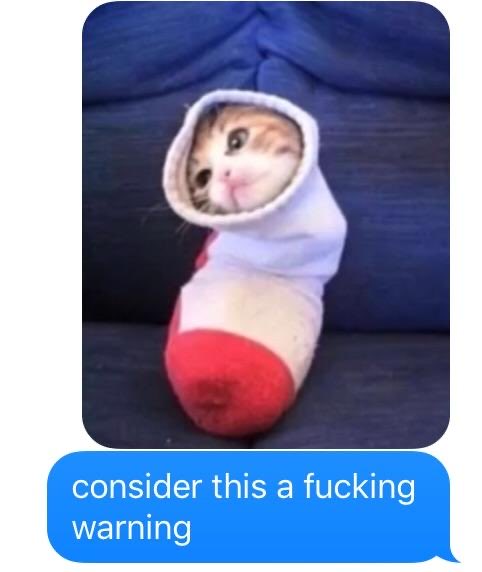 A small kitten wearing a white sock with a red toe pokes its head out, accompanied by a blue text bubble reading "consider this a fucking warning." The image humorously illustrates the post's message about risk management—using the cute, vulnerable kitten hiding in a sock as a visual "warning" that failing to manage risk leaves you exposed to whatever the market does to you.