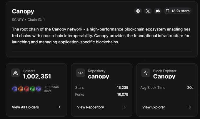 A dashboard for Canopy ($CNPY) displaying its root chain details with 1,002,351 holders, 13.2k stars, and a 20-second average block time, illustrating the testnet milestone of surpassing one million holders referenced in the post.