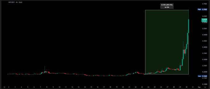 A trading chart for HMT/USDT on Binance showing a dramatic price spike in the highlighted green box on the right side, where price surged to a high of 6.9543 USDT around September 28.