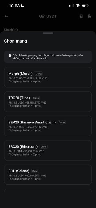 A mobile app screen titled 'Gửi USDT' showing network selection options including Morph, TRC20 (Tron), BEP20, ERC20 (Ethereum), and SOL (Solana) with their respective fees in VND.