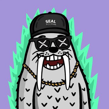 A cartoon illustration of a walrus wearing sunglasses, a gold chain, and a black hat that reads 'SEAL CLUB.ORG' against a purple background.
