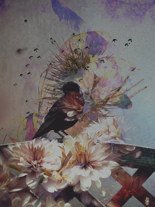An iridescent digital artwork featuring a dark bird perched among blooming pink and white flowers, with a flock of small birds silhouetted against a painterly purple and gold sky, fitting the title "Iridescence in Bloom" and capturing the fragmented, light-infused aesthetic referenced in the NFT's description for a 7-day open edition on Tezos ($XTZ).