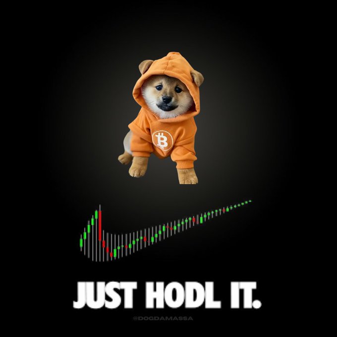 A Shiba Inu dog wearing an orange Bitcoin hoodie is shown above a candlestick chart, with the text 'JUST HODL IT.' and a watermark '@DOGDAMASSA'.