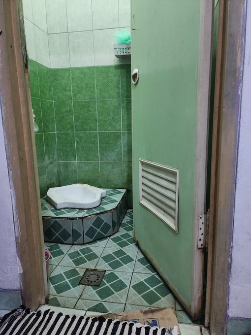 A view through a doorway into a small bathroom with green tiled walls, a white squat toilet on a raised tiled platform, and a green door with a ventilation grate.