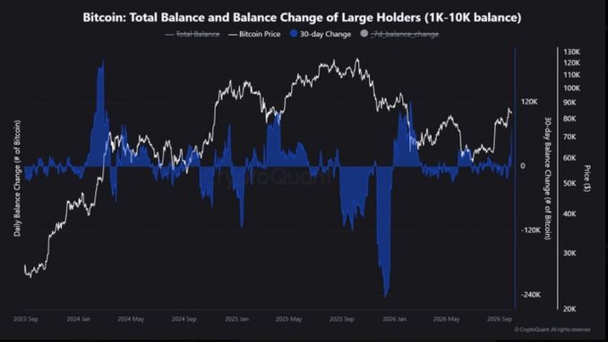 A CryptoQuant chart titled "Bitcoin: Total Balance and Balance Change of Large Holders (1K-10K balance)" displays Bitcoin's price trajectory from September 2023 to early 2026 alongside the 30-day balance change for large holders, showing a notable recent upward spike in accumulation despite BTC trading around $70K-$80K—visually supporting the claim that whales have added approximately 75,000 BTC over the past 30 days.