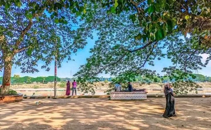 A peaceful outdoor photograph showing people under large shade trees in what appears to be a South Asian setting (likely India), with women in colorful saris, including one in dark clothing standing in the foreground on a dusty ground.