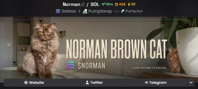 A promotional banner for the 'Norman Brown Cat' ($NORMAN) token on Solana, displaying market data and platform links to PumpSwap and Pump.fun, with a caption reading 'I HAVE NOTHING TO EXPLAIN.'