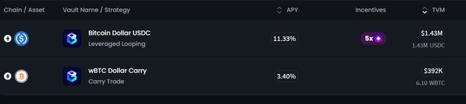A cryptocurrency vault interface displays two assets: 'Bitcoin Dollar USDC' with 'Leveraged Looping' strategy at 11.33% APY and $1.43M TVM, and 'wBTC Dollar Carry' with 'Carry Trade' strategy at 3.40% APY and $392K TVM.
