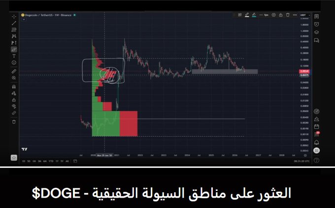 The image is a screenshot of an E-Book called "DOGE - Finding the Real Liquidity Zones Using volume data and indicators to identify liquidity zones, without the need for guessing or predicting based on random price movements". The book appears to be available in two languages (English and Arabic), which can be accessed using a specific screen.