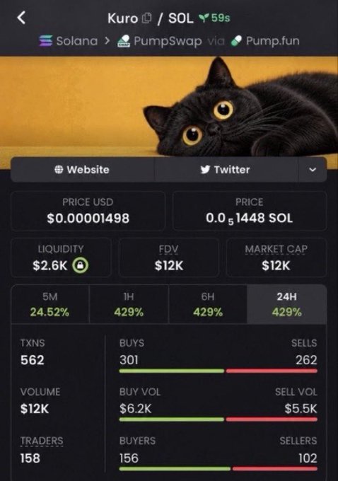 A cryptocurrency tracking app displays the 'Kuro / SOL' token on Solana via PumpSwap and Pump.fun, showing a black cat image, a price of $0.00001498 USD, $12K market cap, and significant 24-hour gains of 429%.