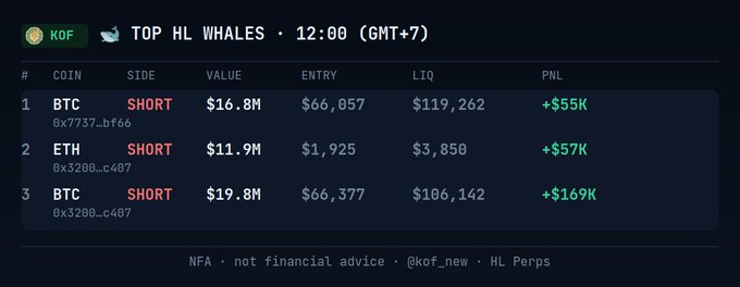 Trading dashboard showing 'TOP HL WHALES · 12:00 (GMT+7)' with three large SHORT positions: BTC (+$55K), ETH (+$57K), and BTC (+$169K PNL), from @kof_new on HL Perps with disclaimer 'NFA · not financial advice'.