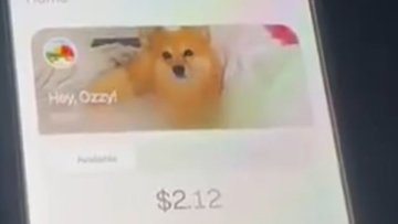 A phone screenshot showing a digital card 'Hey, Ozzy!' with a Shiba Inu dog image and a balance of $2.12.