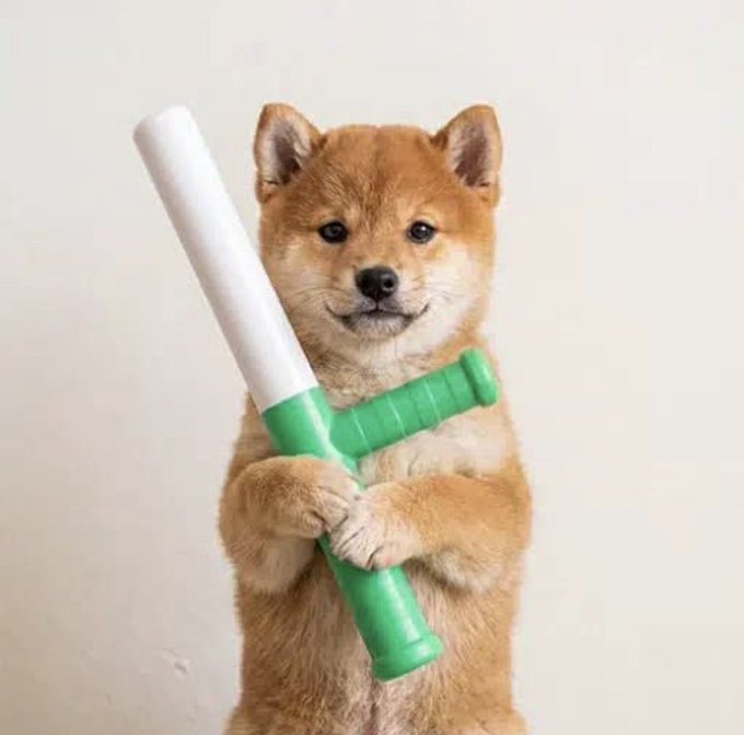 A determined-looking Shiba Inu puppy stands on its hind legs, gripping a green lightsaber with both paws as if ready for battle. The image humorously symbolizes the "fighting back" sentiment in the post, where the community rallies against FUD despite $baton and other tokens pumping on Pumpfun's new features.