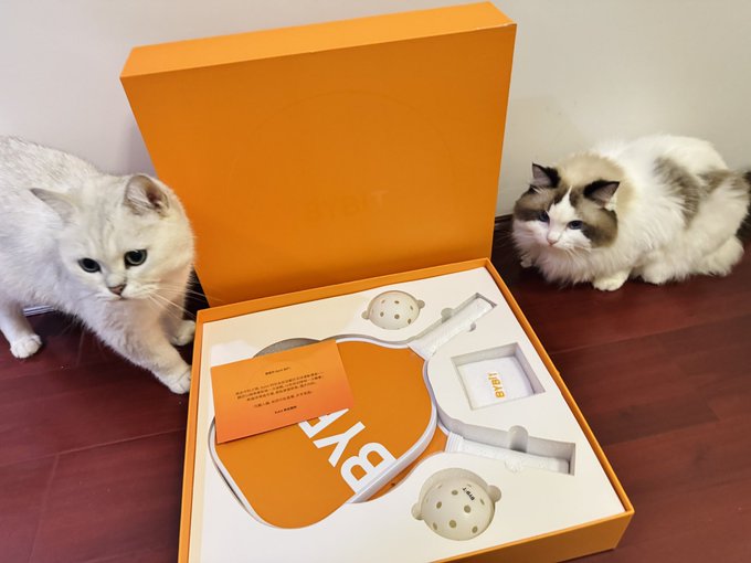 Two white cats sitting on a wooden floor next to an orange BXLY-branded box containing what appears to be a massage device.