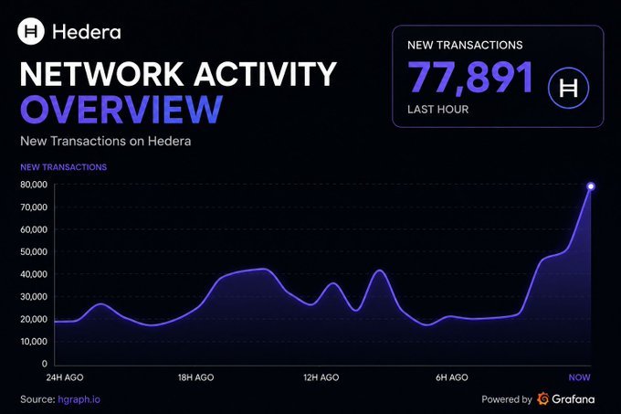 A Hedera Network Activity Overview dashboard showing 77,891 new transactions in the last hour, sourced from hgraph.io and powered by Grafana.