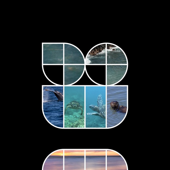 A black background featuring stylized white letter shapes filled with ocean and sea animal photographs, including a whale breaching, a sea turtle, and sea otters.
