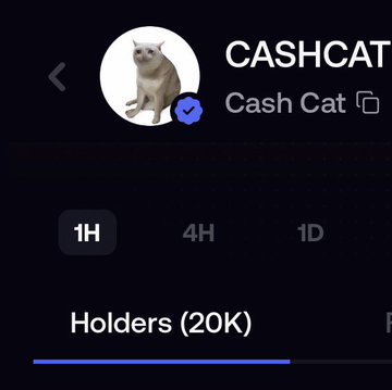 A screenshot of the $CASHCAT token page showing a holder count of 20K, which the post uses to highlight the lopsided FOMO comparison with $TIBBIR's much smaller 349 holders.