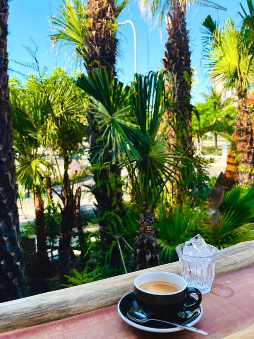 A cup of coffee and a glass of ice water sit on a wooden railing with tropical palm trees in the background.