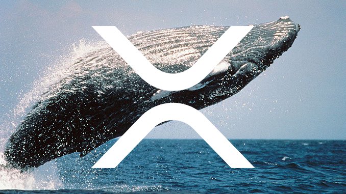 A dramatic photograph shows a massive whale breaching out of the ocean with a large white "X" logo overlaid on the image, symbolizing the XRP whale activity referenced in the post about holdings reaching 8.13 billion tokens. The breaching whale visually reinforces the "WHALE-ALERT" message about large XRP token accumulation.