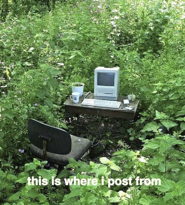 A vintage Macintosh computer, keyboard, and mug sit on a small wooden desk hidden in a lush, overgrown forest, paired with an office chair and the caption "this is where i post from."

The image humorously suggests the poster works from a remote, nature-filled "office" in the woods while wishing followers a happy Thursday.