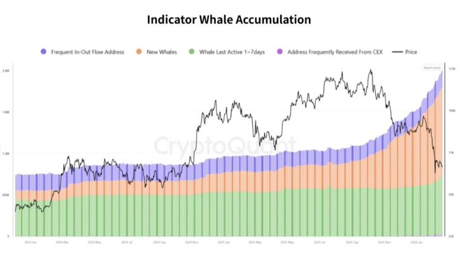 A stacked area chart titled "Indicator Whale Accumulation" from CryptoQuant tracks four on-chain metrics—Frequent In-Out Flow Address, New Whales, Whale Last Active 1-7days, and Address Frequently Received From CEX—against Bitcoin's price from March 2024 through late 2025, showing a sharp rise in whale accumulation (especially new whales and frequent CEX receivers) coinciding with a price decline from ~$108K toward $70K, which visually reinforces the post's claim that whales are quietly buying the dip while long-term holders remain unfazed by short-term price volatility.