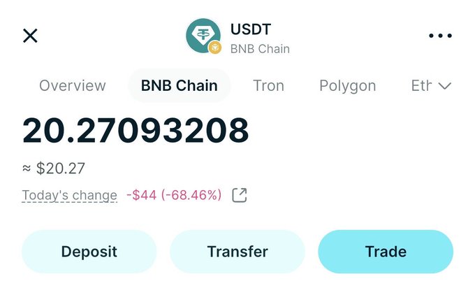 A cryptocurrency trading app interface showing USDT on the BNB Chain with a balance of 20.27093208, approximately $20.27, and a daily change of -$44 (-68.46%).