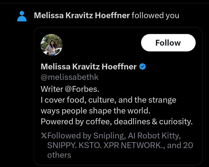The image shows a screenshot of a Twitter post by Melissa Kravitz Hoeffner, which reads: "Listen up ladies.I am not interested seriously. stop the dms stop the following me liking everything I post and then re- liking yeah!!!! so yeah no matter WHO you are what your bot profile is STAY CLEAR! (1 woman man) #XPR #METAL #LOAN". The post seems to be about a conversation or interaction with someone named Melissa Kravitz Hoeffner.