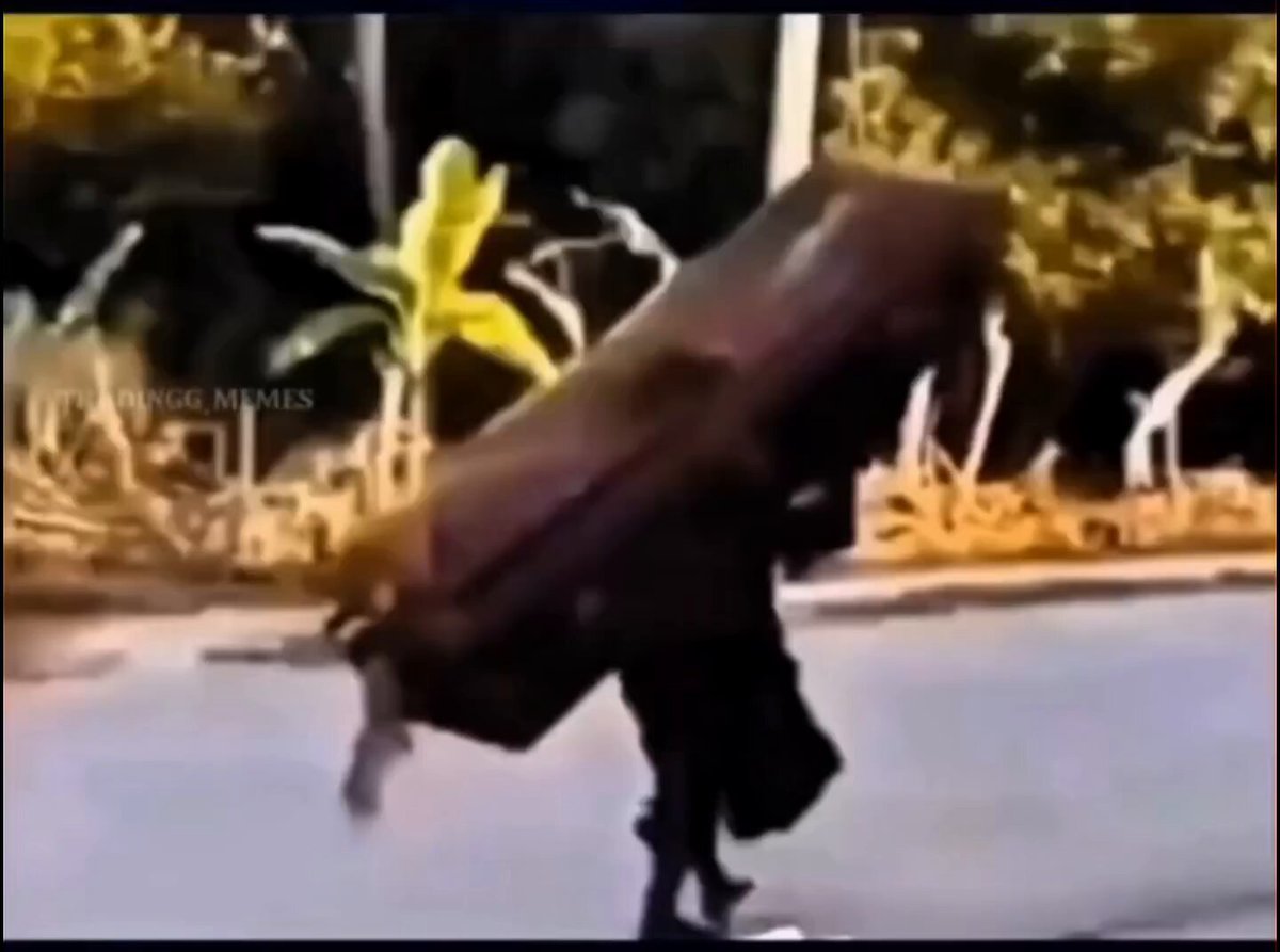 The image shows a person walking down a street, carrying an object that appears to be a large piece of furniture or luggage. The person's face is not visible due to the angle of the photo. In the background, there are trees lining the street, adding a natural element to the scene. A car can also be seen parked on the side of the road. The post accompanying this image reads "me changing graveyard because they put me next to someone who still hold $MEGA". This message suggests that the person carrying the object is being followed or targeted by someone else, possibly due to their possession of a large item.