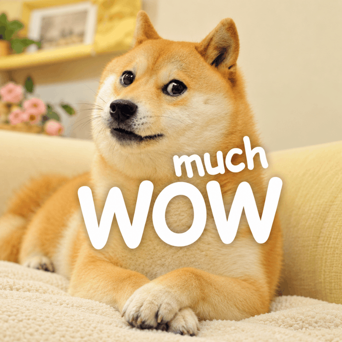A Shiba Inu dog lying on a couch appears with the text "much WOW" overlaid, referencing the Doge meme, which ties into the post's discussion of the crypto token $MUCHWOW, with the dog's pleased expression humorously illustrating the poster's enthusiasm about the token's strong performance and active community.