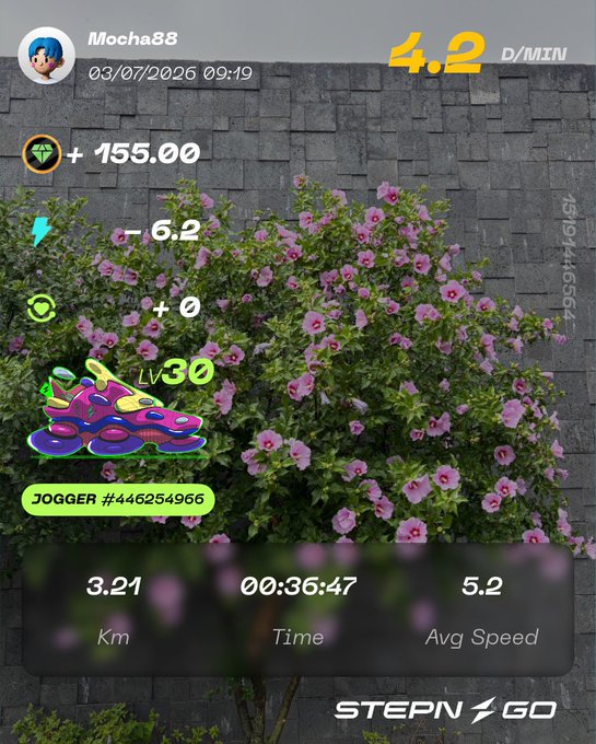 A STEPN & GO app screenshot showing a jog by user Mocha88 earning +155.00 with stats of 3.21 km in 00:36:47 at 5.2 avg speed, overlaid on a flowering bush.