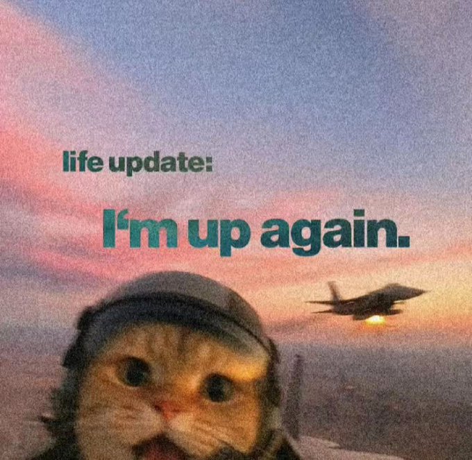 A cute cat wearing a headset appears in front of a sunset sky with a plane flying by, overlaid with the text "life update: I'm up again." The image ties to the "GM" (good morning) post by humorously announcing an early start to the day with the cat already "up" at dawn.