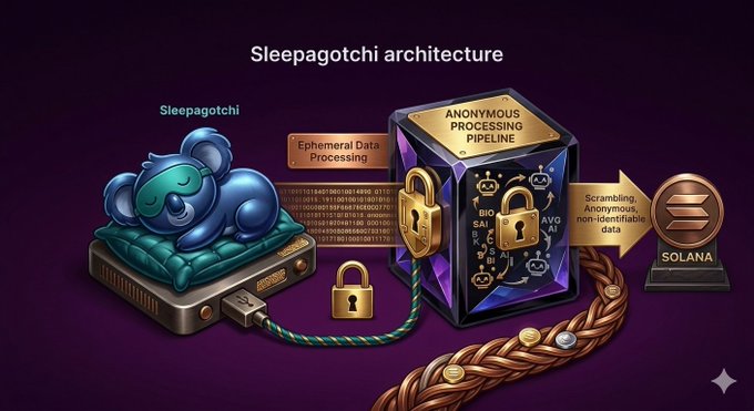 An infographic titled 'Sleepagotchi architecture' illustrating a Sleepagotchi device processing ephemeral data through an 'Anonymous Processing Pipeline' and sending scrambled, non-identifiable data to Solana.
