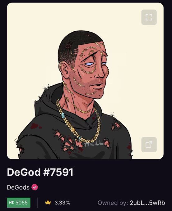 Digital collectible NFT titled 'DeGod #7591' from the DeGods collection, featuring a stylized illustrated portrait of a man with facial scars, a stitched 'HELL' hoodie, and gold chains, listed with 5055 views and 3.33% royalty.