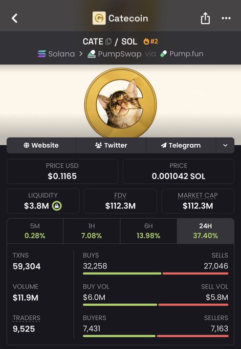 Screenshot of the CATE/SOL (Catecoin) memecoin trading page on PumpSwap showing a price of $0.1165, market cap of $112.3M, and 24H gains of 37.40%. The image supports the post's claim of massive returns, illustrating the type of explosive price action often promoted in such crypto promotion posts.