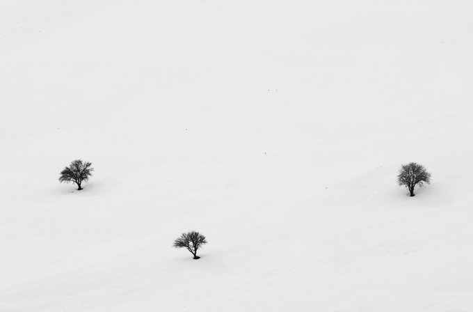 A minimalist black-and-white aerial or landscape photograph showing three small bare trees scattered across a vast white snowy field.