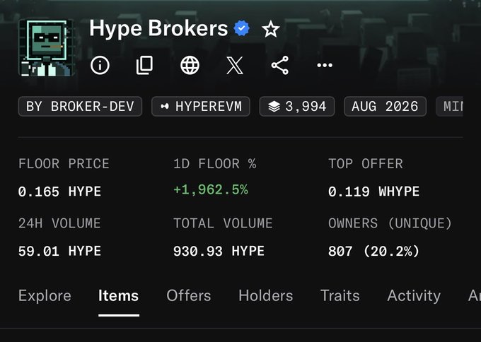 A screenshot of an NFT collection page titled 'Hype Brokers' with a verified checkmark, showing a floor price of 0.165 HYPE, a 1D floor % of +1,962.5%, a top offer of 0.119 WHYPE, and 807 unique owners.
