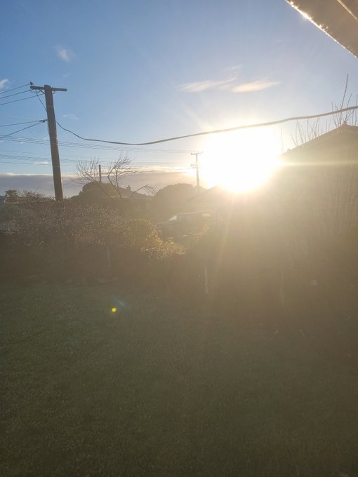 A backyard scene at sunset with the sun brightly shining through power lines, silhouetting trees and a vehicle in the background.