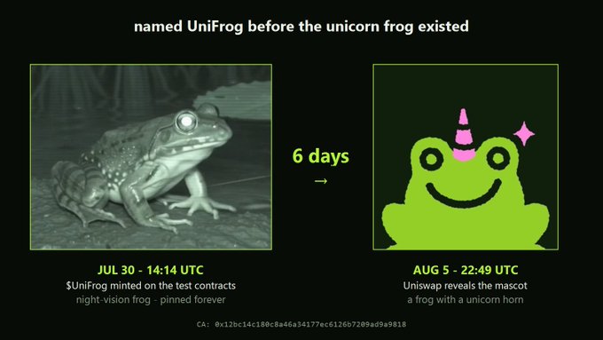 The image displays a meme-style graphic titled "named UniFrog before the unicorn frog existed," showing a night-vision photo of a frog labeled "JUL 30 - 14:14 UTC" with text stating "$UniFrog minted on the test contracts - night-vision frog - pinned forever," alongside a green cartoon frog with a unicorn horn labeled "AUG 5 - 22:49 UTC" with text noting "Uniswap reveals the mascot - a frog with a unicorn horn," connected by a "6 days →" timeline. This visually supports the post's claim that someone minted the $UniFrog token on Uniswap's test contracts six days before Uniswap officially unveiled their unicorn-frog mascot.