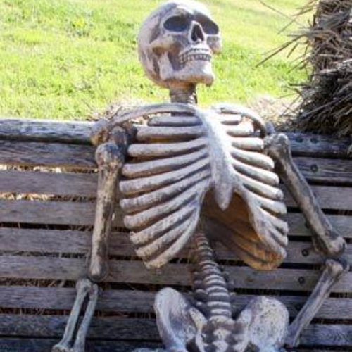 The image features a large, white skeleton statue sitting on top of a wooden bench. The skeleton appears to be resting or lounging, with its arms and legs spread out. The scene takes place outdoors, with grass visible behind the bench where the skeleton is located. There are no texts or other objects in the image that provide additional context about the post "Time will come $XNO".